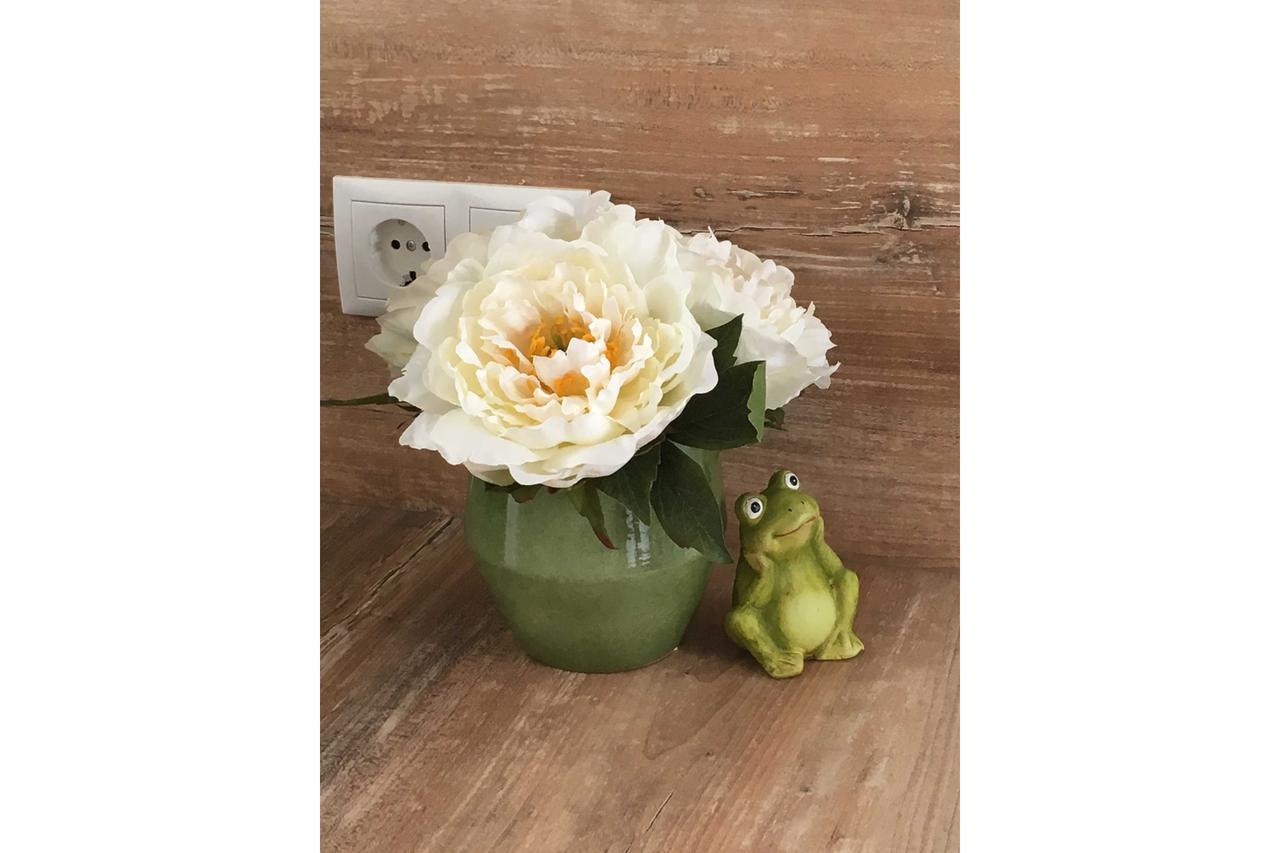 Froschkoje Apartment Хайлигенхафен Екстериор снимка
